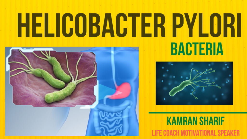 H-Pylori Bacteria Signs Symptoms